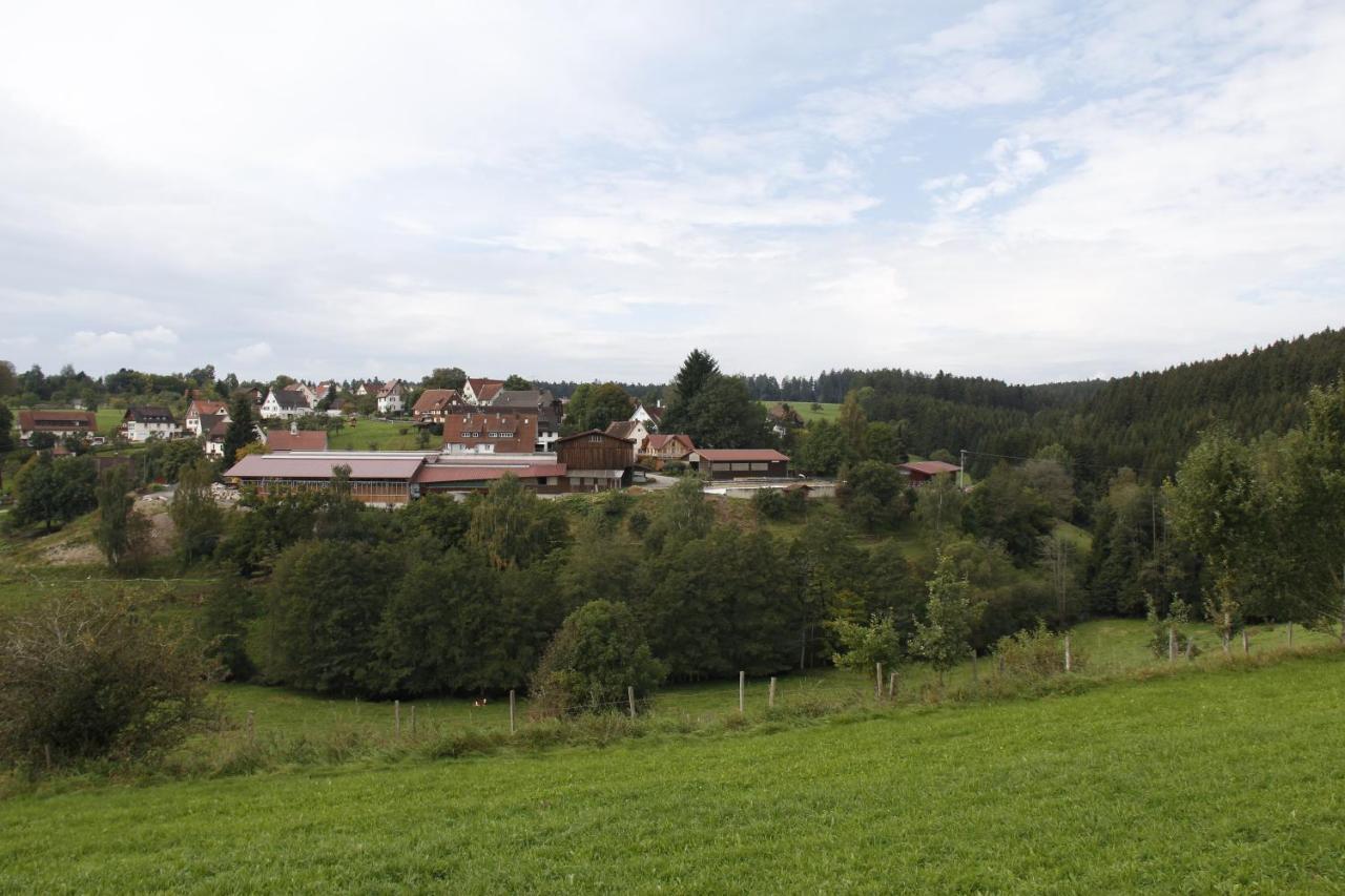 Ferienhof Harr 弗罗伊登施塔特 外观 照片